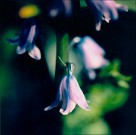 April