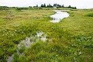 Thingvellir